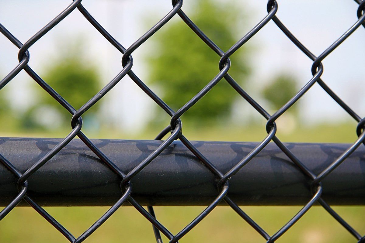 Chain Link Fence